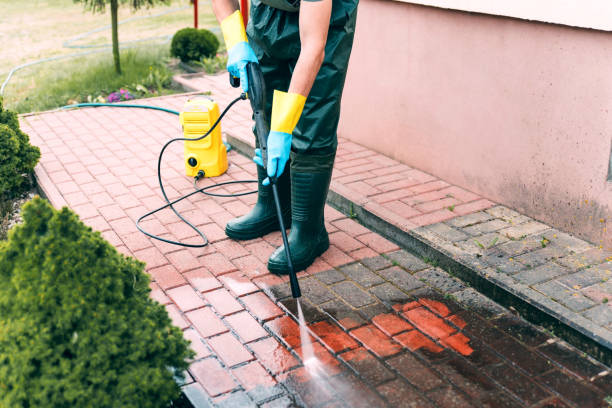 Best Sidewalk and Walkway Cleaning  in Selmer, TN