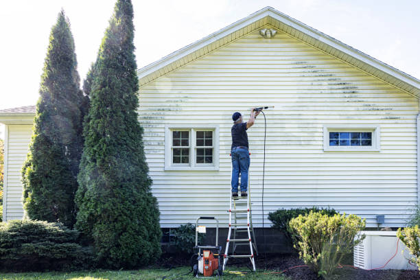 Best Building Exterior Washing  in Selmer, TN